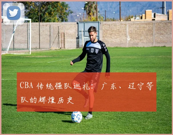 CBA 传统强队巡礼:广东、辽宁等队的辉煌历史