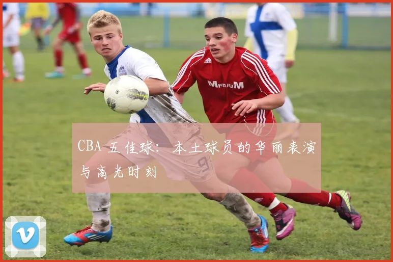 CBA 五佳球：本土球员的华丽表演与高光时刻